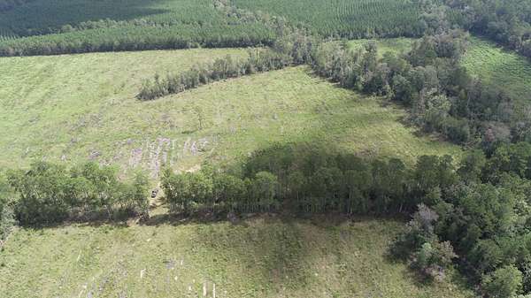 24 Acres of Recreational Land for Sale in Farrsville, Texas