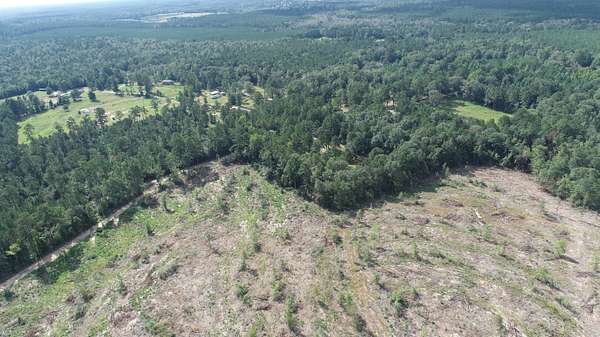 77 Acres of Recreational Land for Sale in Holly Springs, Texas