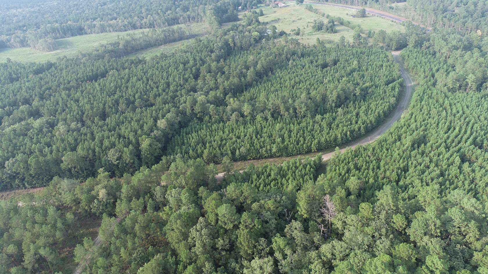 18 Acres of Recreational Land for Sale in Pineland, Texas