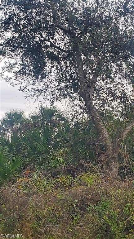 0.26 Acres of Residential Land for Sale in LaBelle, Florida