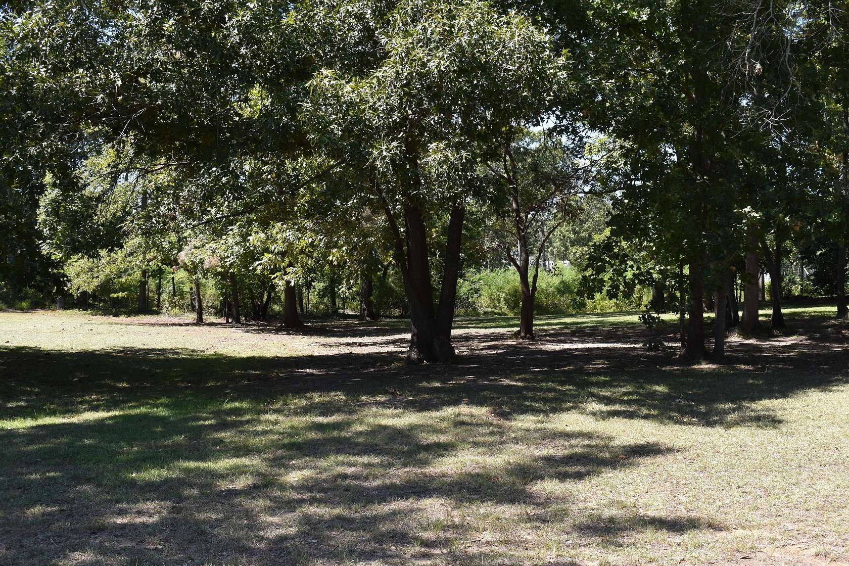 0.42 Acres of Residential Land for Sale in Manning, South Carolina