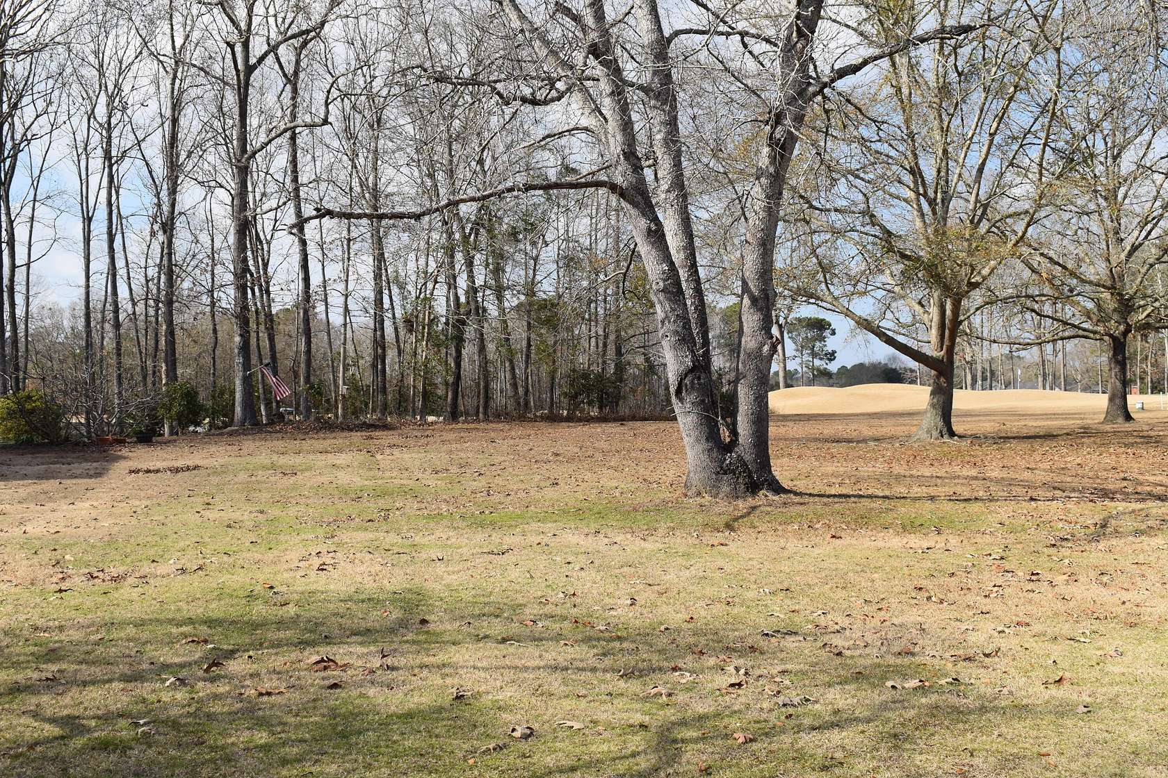 0.5 Acres of Land for Sale in Manning, South Carolina