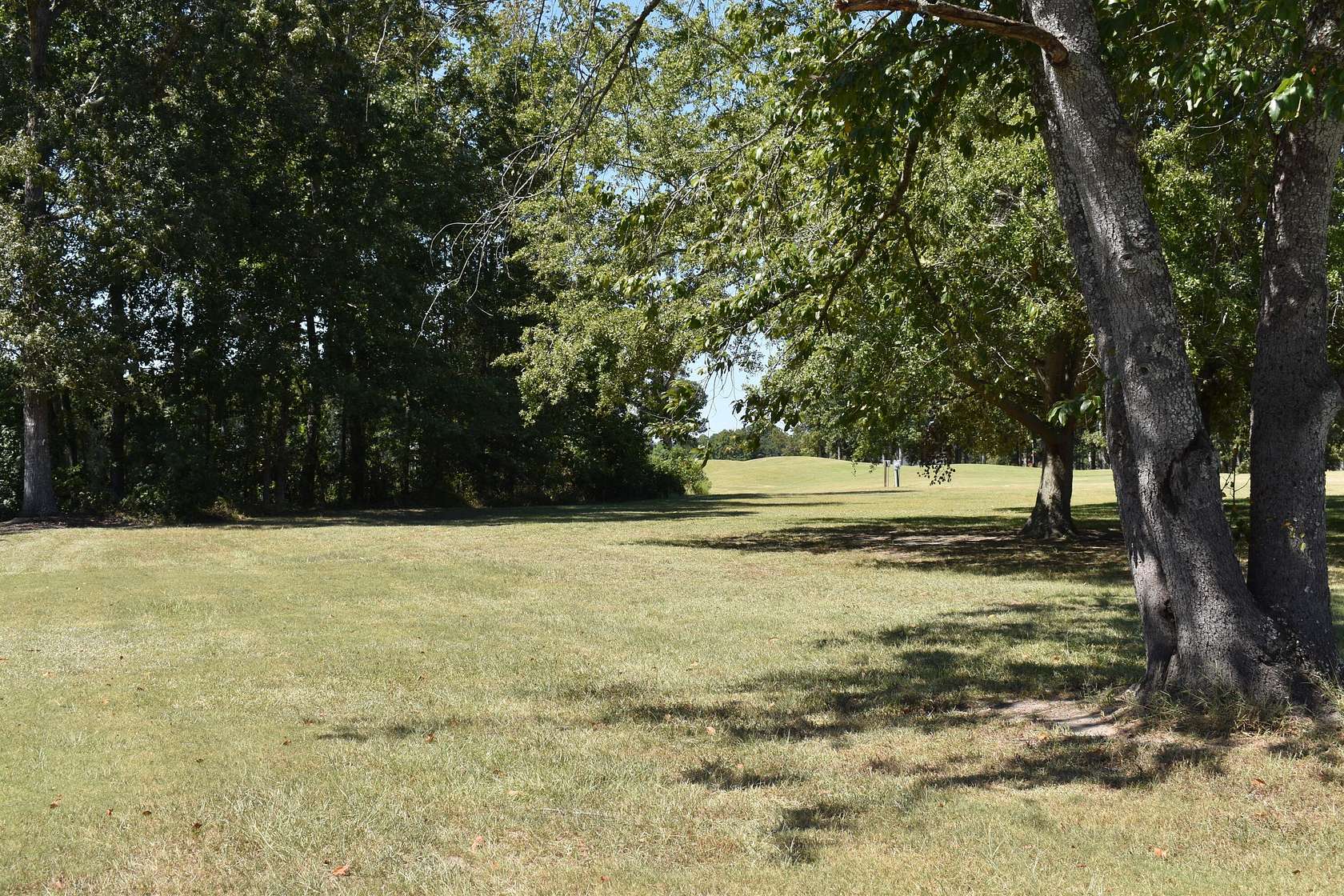 0.5 Acres of Residential Land for Sale in Manning, South Carolina