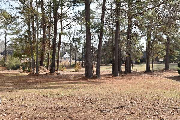 0.19 Acres of Land for Sale in Manning, South Carolina