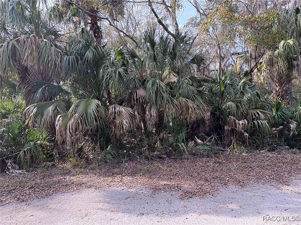 1.17 Acres of Land for Sale in Crystal River, Florida