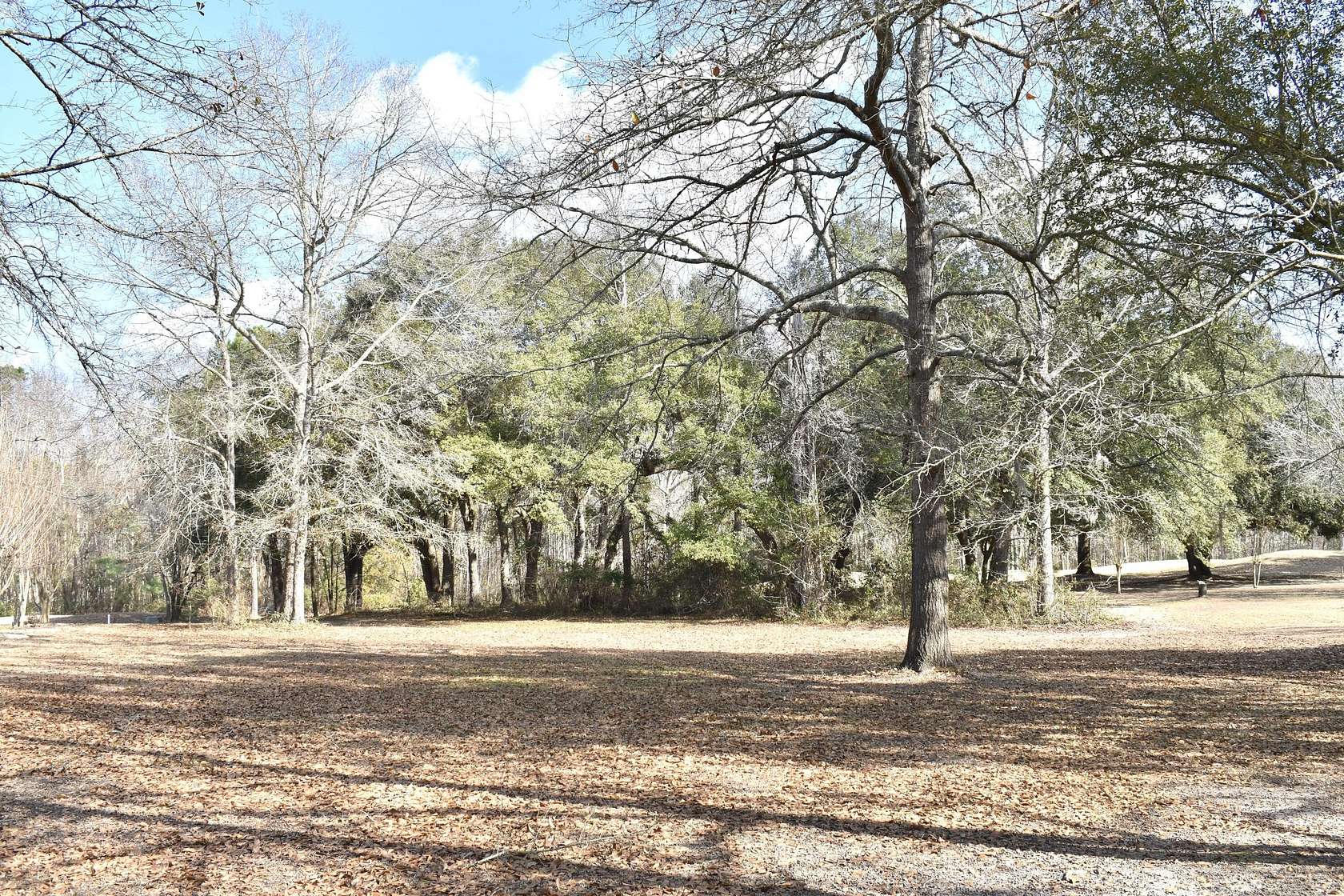 0.54 Acres of Land for Sale in Manning, South Carolina