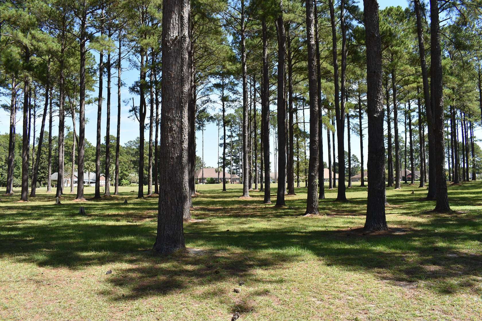 0.99 Acres of Residential Land for Sale in Manning, South Carolina