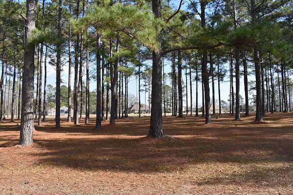 0.99 Acres of Land for Sale in Manning, South Carolina