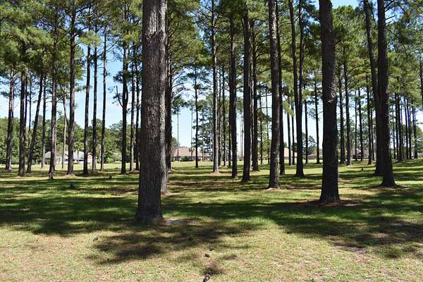 0.99 Acres of Land for Sale in Manning, South Carolina