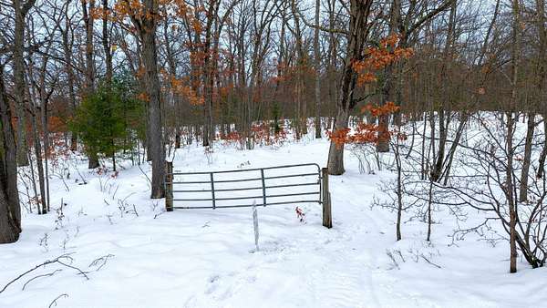 5 Acres of Residential Land for Sale in West Branch, Michigan