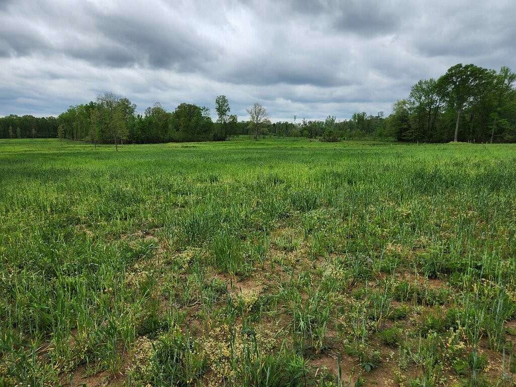 5 Acres of Residential Land for Sale in Huntland, Tennessee