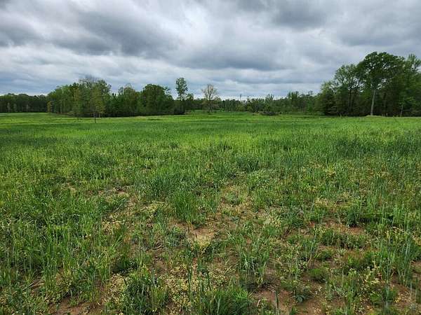 5 Acres of Residential Land for Sale in Huntland, Tennessee
