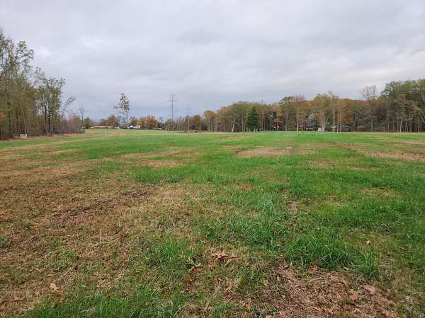 20 Acres of Land for Sale in Huntland, Tennessee