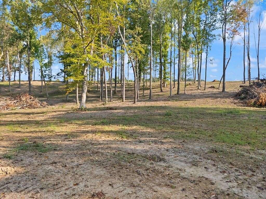 Residential Land for Sale in Albany, Kentucky