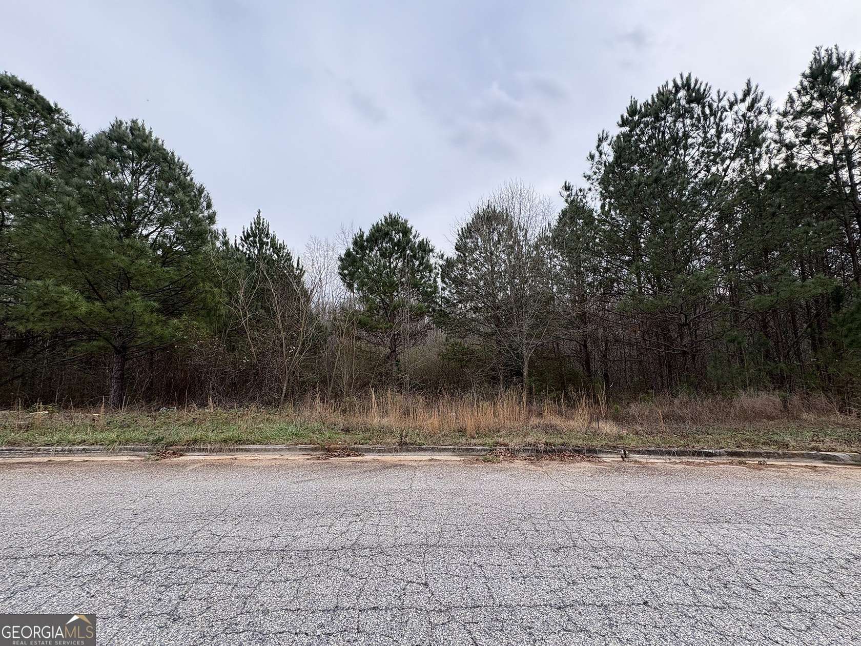 2 Acres of Land for Sale in Locust Grove, Georgia