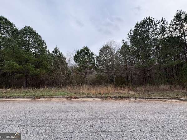 2 Acres of Land for Sale in Locust Grove, Georgia