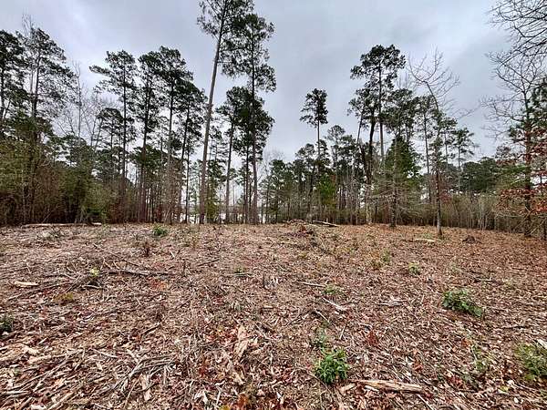 1 Acre of Land for Sale in Many, Louisiana
