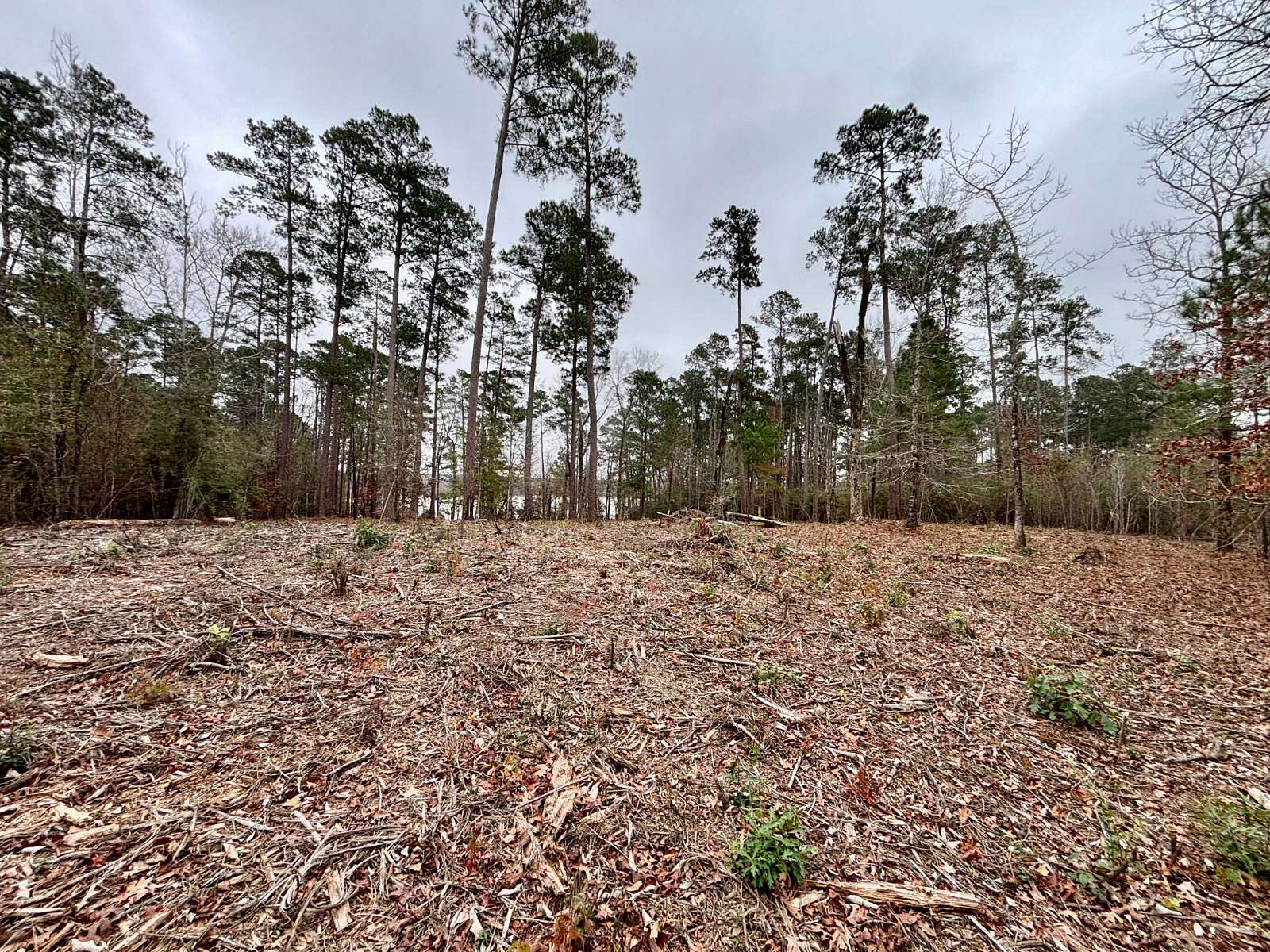 1 Acre of Land for Sale in Many, Louisiana