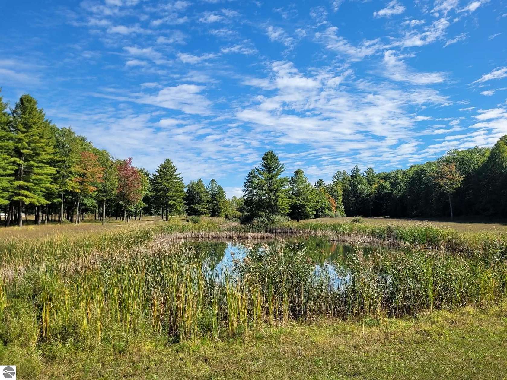 25.2 Acres of Land for Sale in Wellston, Michigan