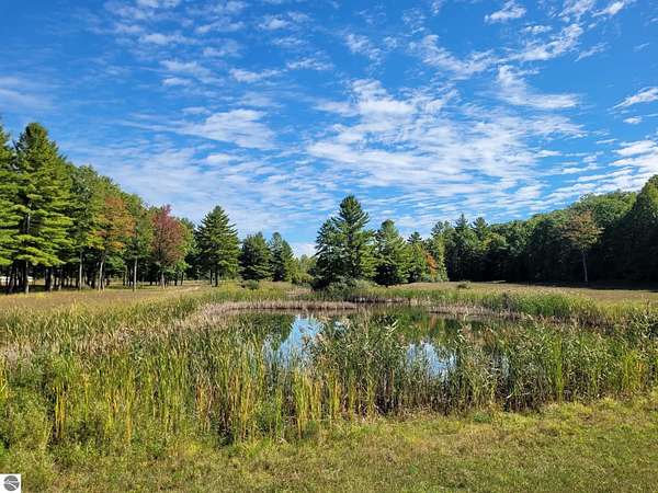 25.2 Acres of Land for Sale in Wellston, Michigan
