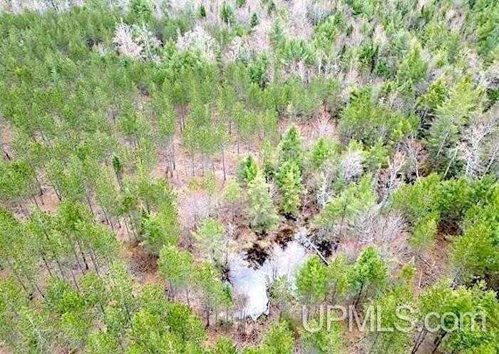 40 Acres of Recreational Land & Farm for Sale in Rapid River, Michigan