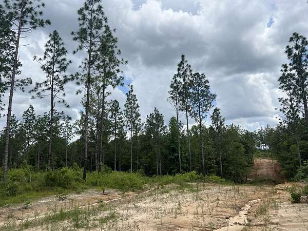 68.7 Acres of Recreational Land for Sale in Lumberton, Mississippi