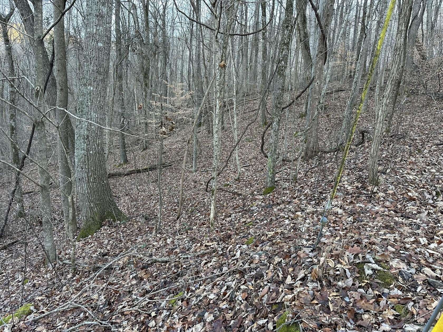3 Acres of Residential Land for Sale in Pikeville, Tennessee
