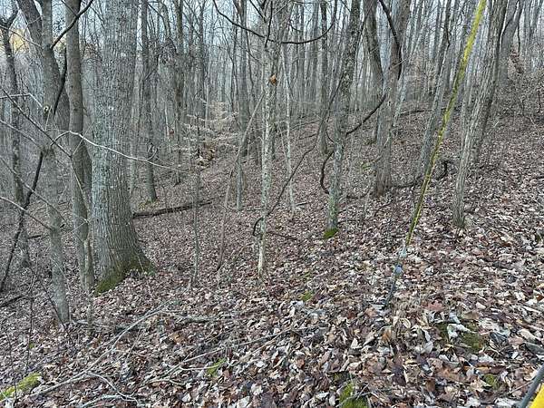 3 Acres of Residential Land for Sale in Pikeville, Tennessee