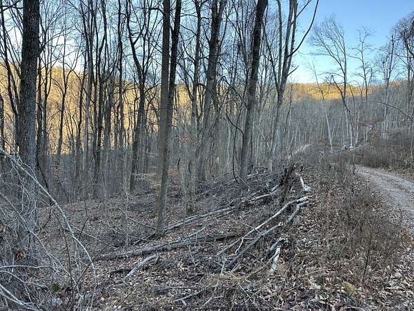 6.58 Acres of Residential Land for Sale in Pikeville, Tennessee