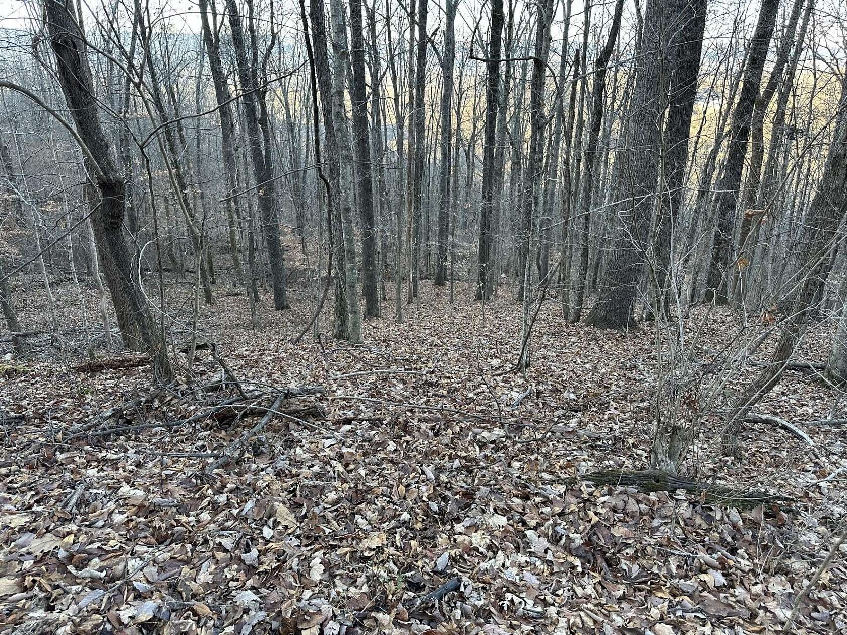 5.6 Acres of Residential Land for Sale in Pikeville, Tennessee