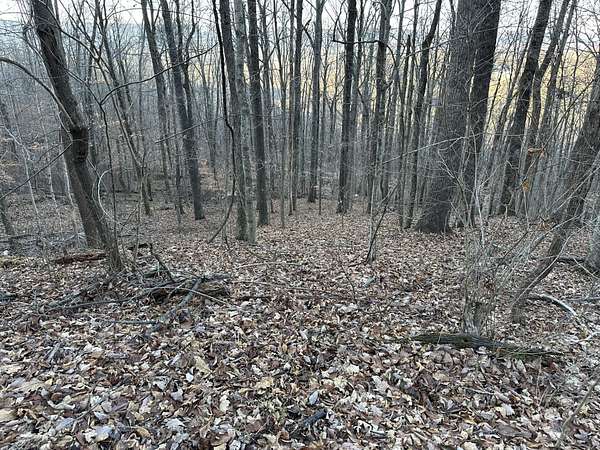 5.6 Acres of Residential Land for Sale in Pikeville, Tennessee
