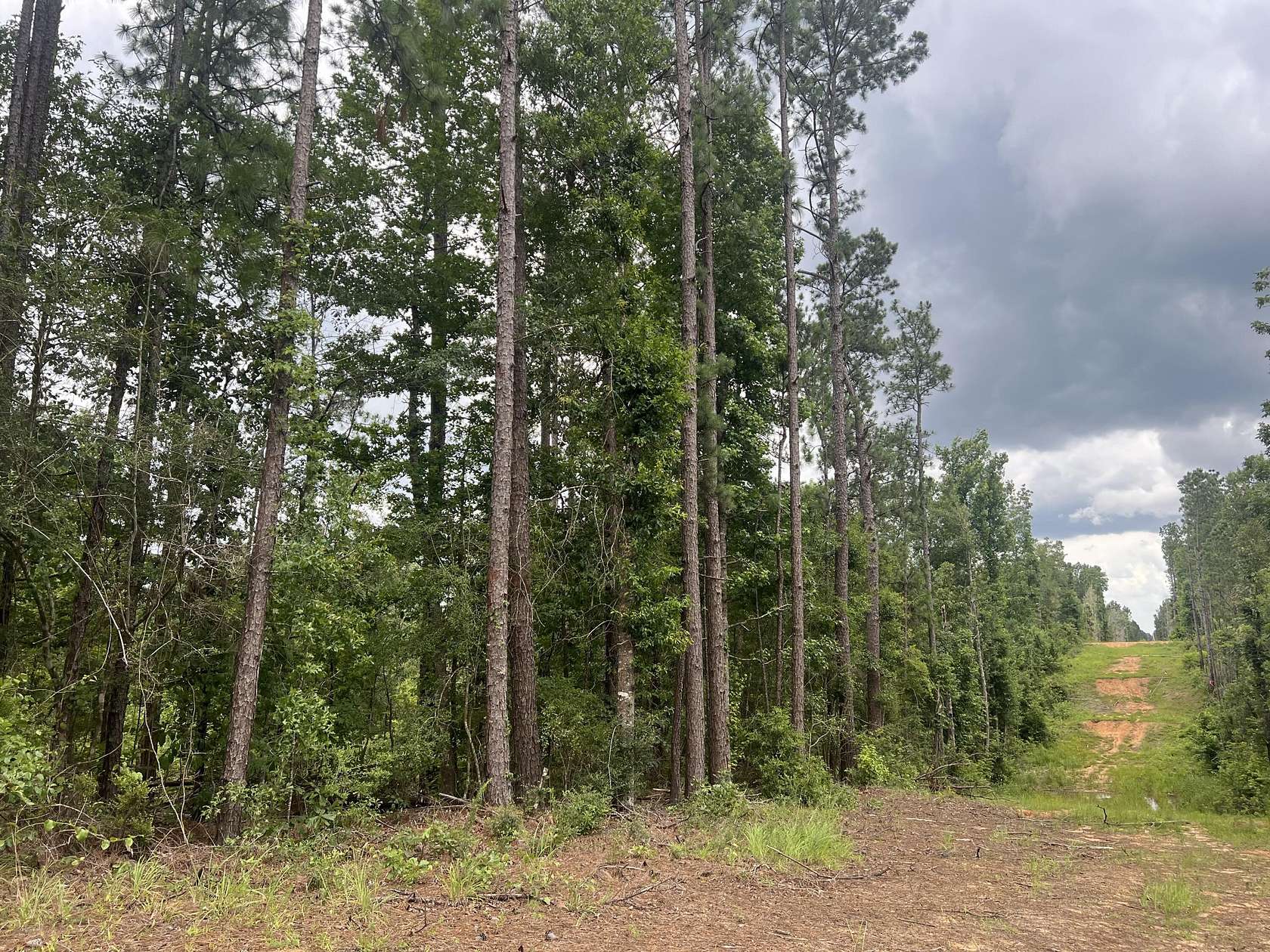 27.2 Acres of Recreational & Residential Land for Sale in Lumberton, Mississippi
