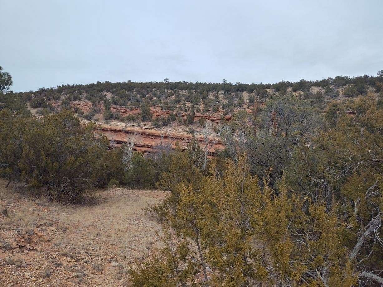 40 Acres of Recreational Land for Sale in Mountainair, New Mexico