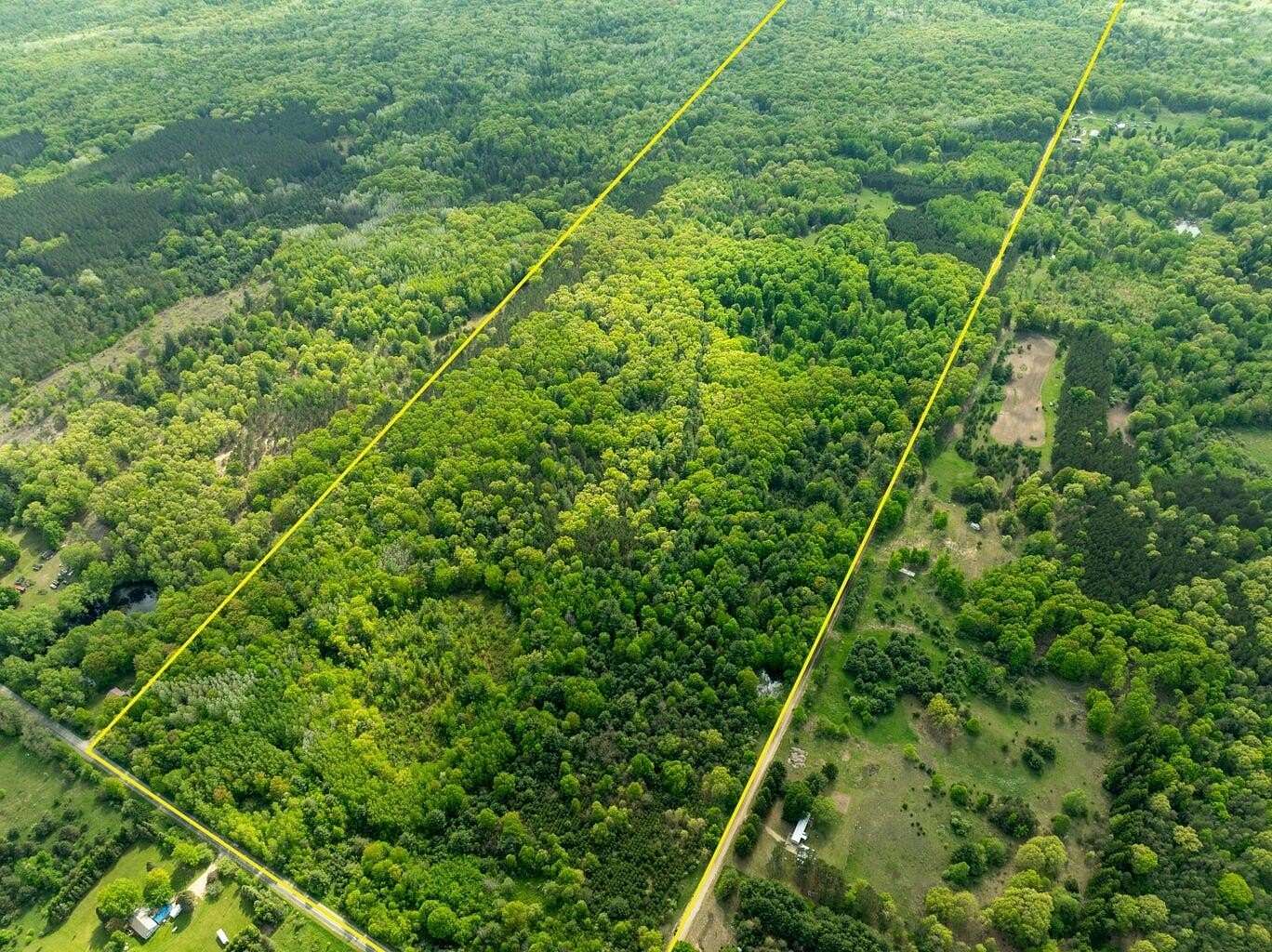 157 Acres of Land for Sale in Reed City, Michigan