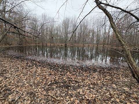 20 Acres of Land for Sale in Enfield, Illinois