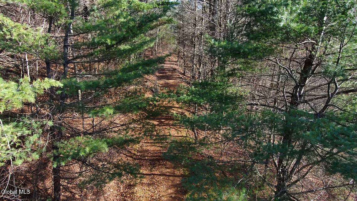 7 Acres of Residential Land for Sale in Jefferson, New York