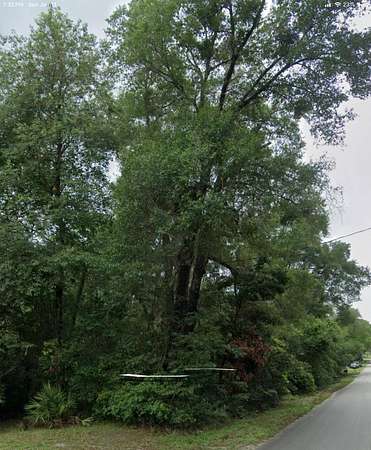 0.4 Acres of Land for Sale in Summerfield, Florida