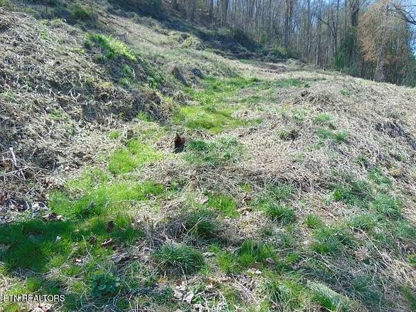 1 Acre of Residential Land for Sale in Pineville, Kentucky