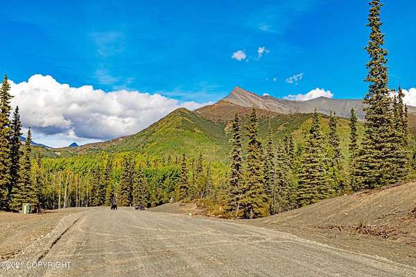 10 Acres of Land for Sale in Chickaloon, Alaska