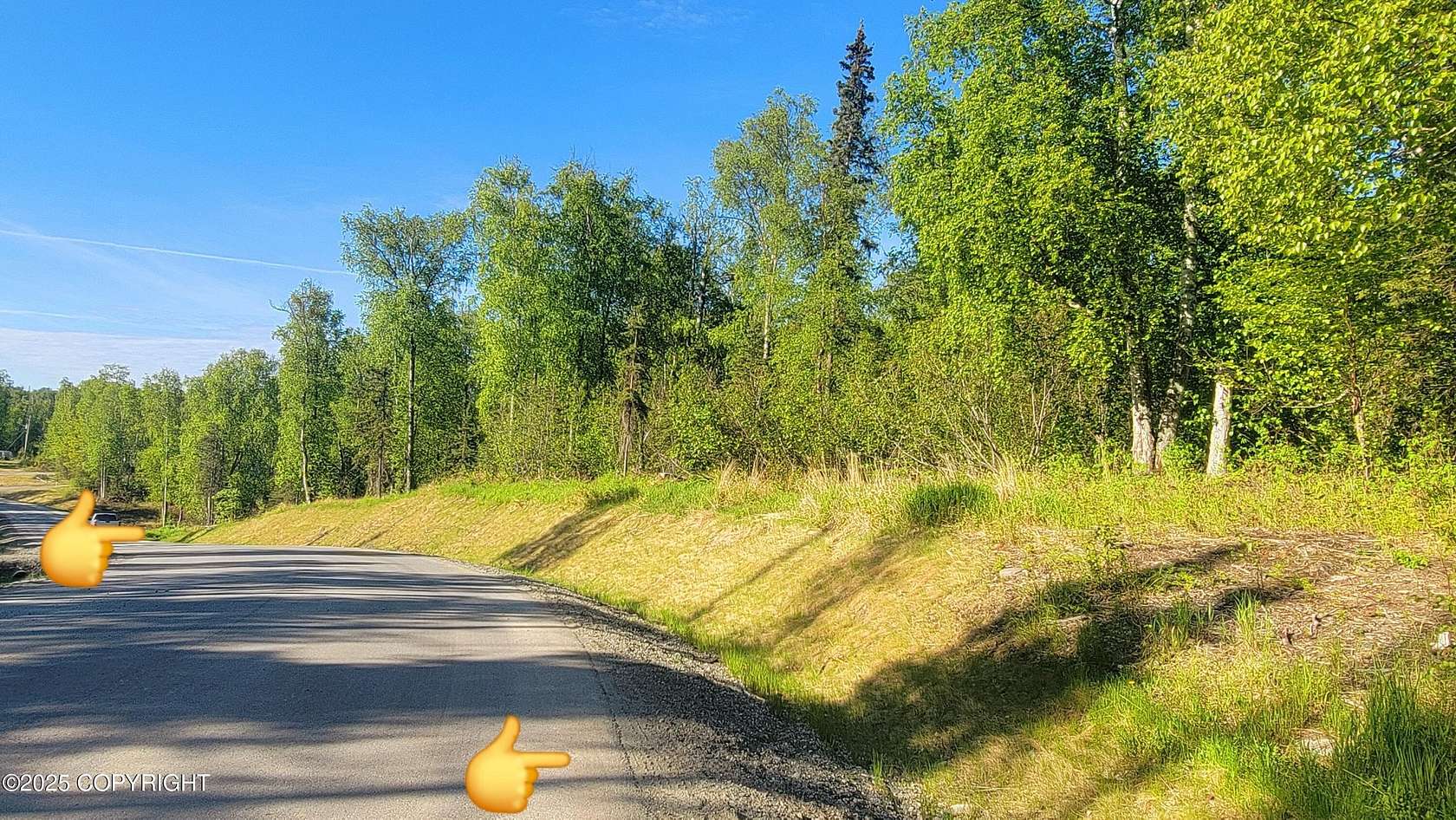 20 Acres of Land for Sale in Wasilla, Alaska