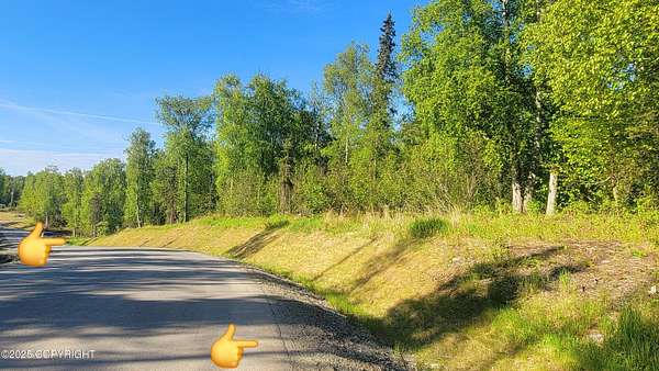 20 Acres of Land for Sale in Wasilla, Alaska