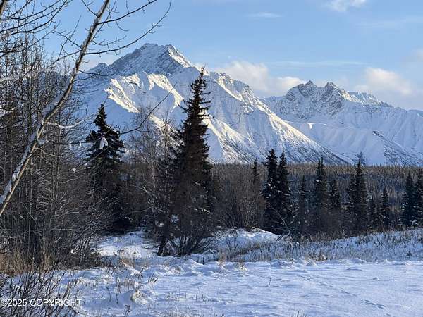 4.6 Acres of Land for Sale in Chickaloon, Alaska