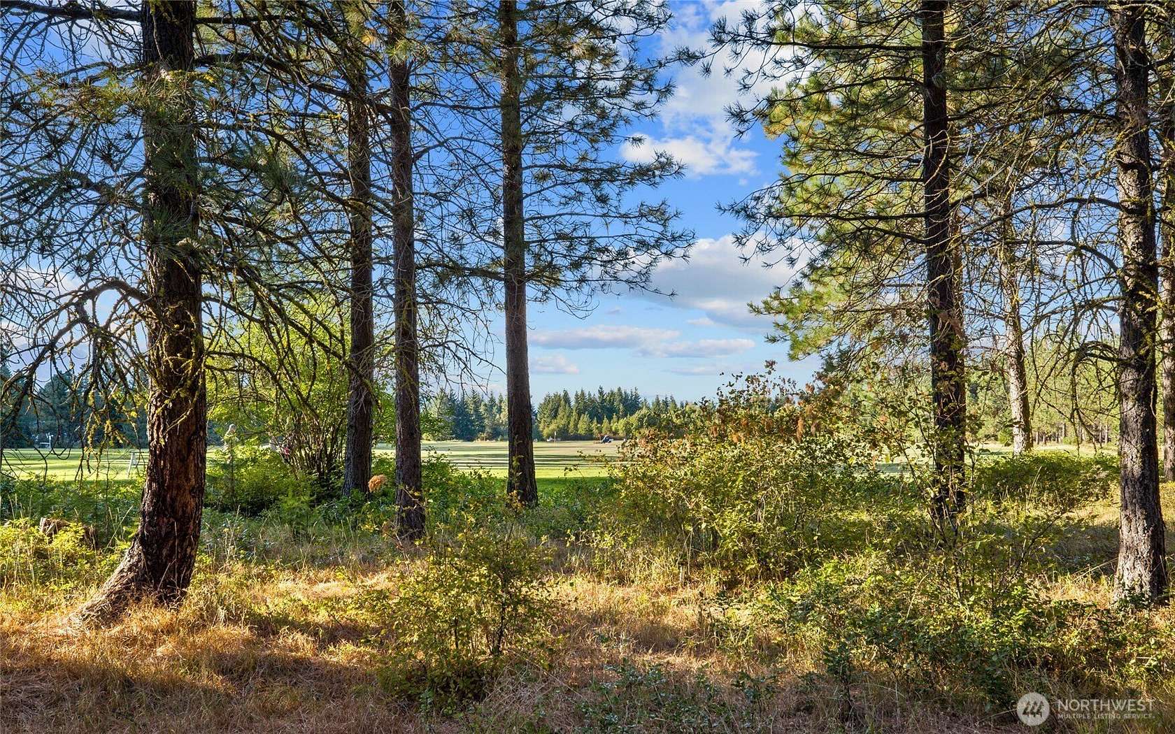 1 Acre of Residential Land for Sale in Cle Elum, Washington