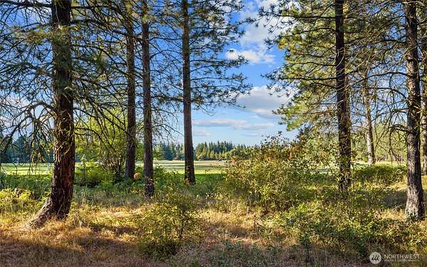 1 Acre of Residential Land for Sale in Cle Elum, Washington