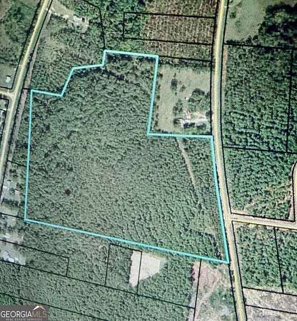 45.5 Acres of Recreational Land for Sale in Dublin, Georgia