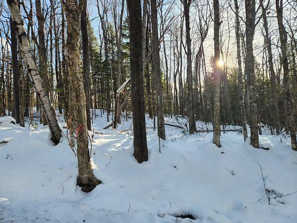 10 Acres of Land for Sale in Sumner, Maine