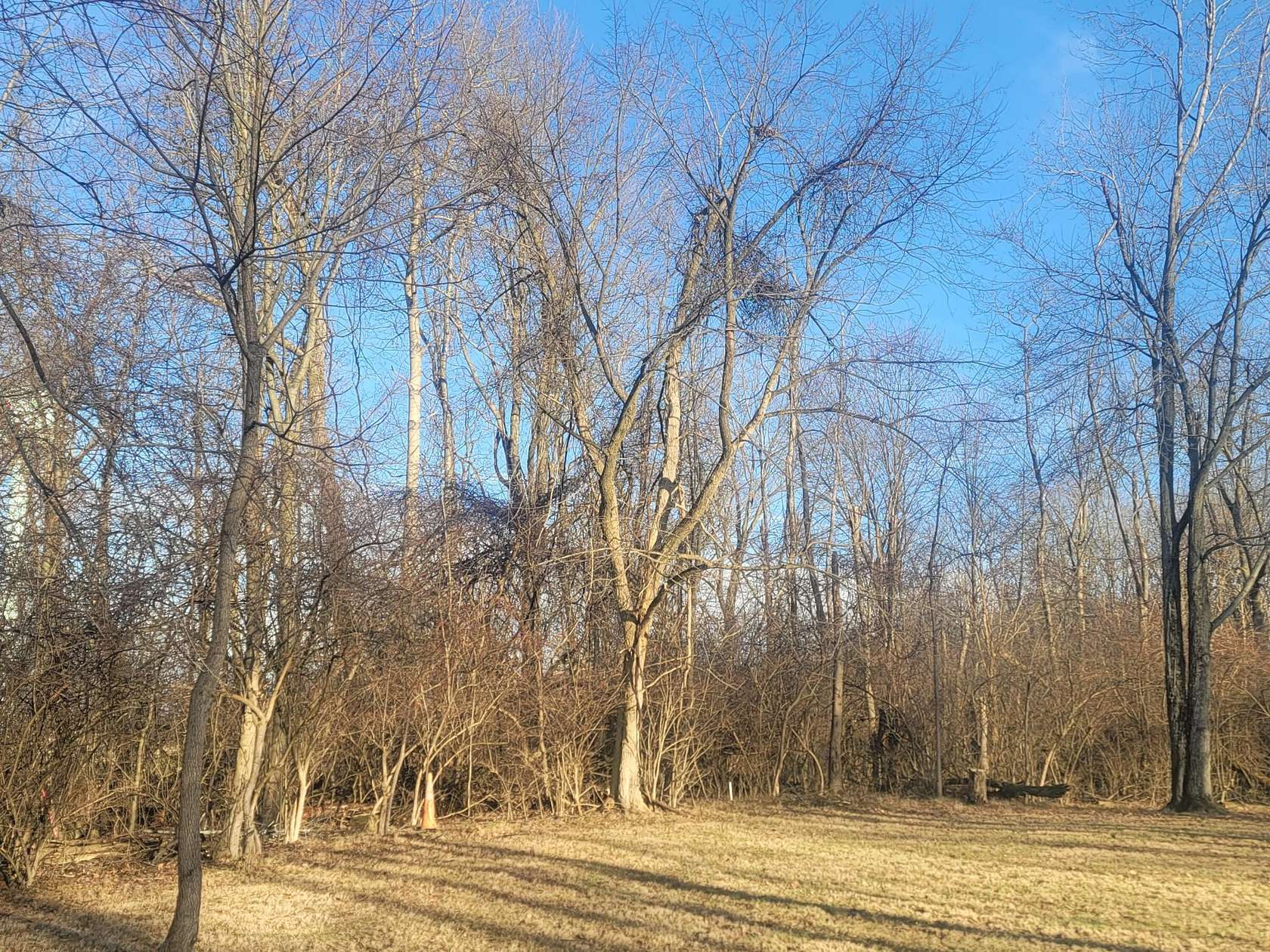 0.51 Acres of Land for Sale in Mount Gilead, Ohio