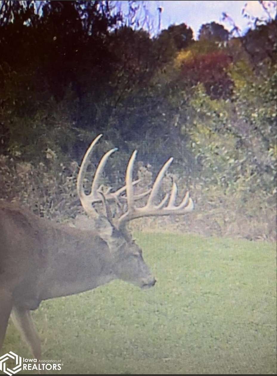 169 Acres of Recreational Land & Farm for Sale in Cantril, Iowa