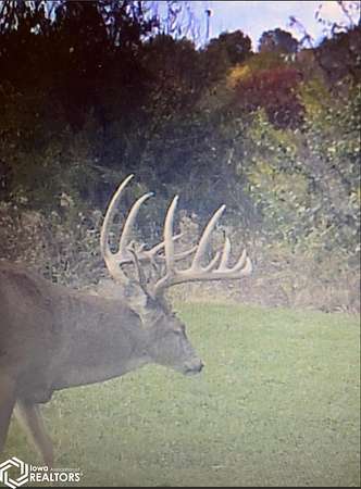 169 Acres of Recreational Land & Farm for Sale in Cantril, Iowa