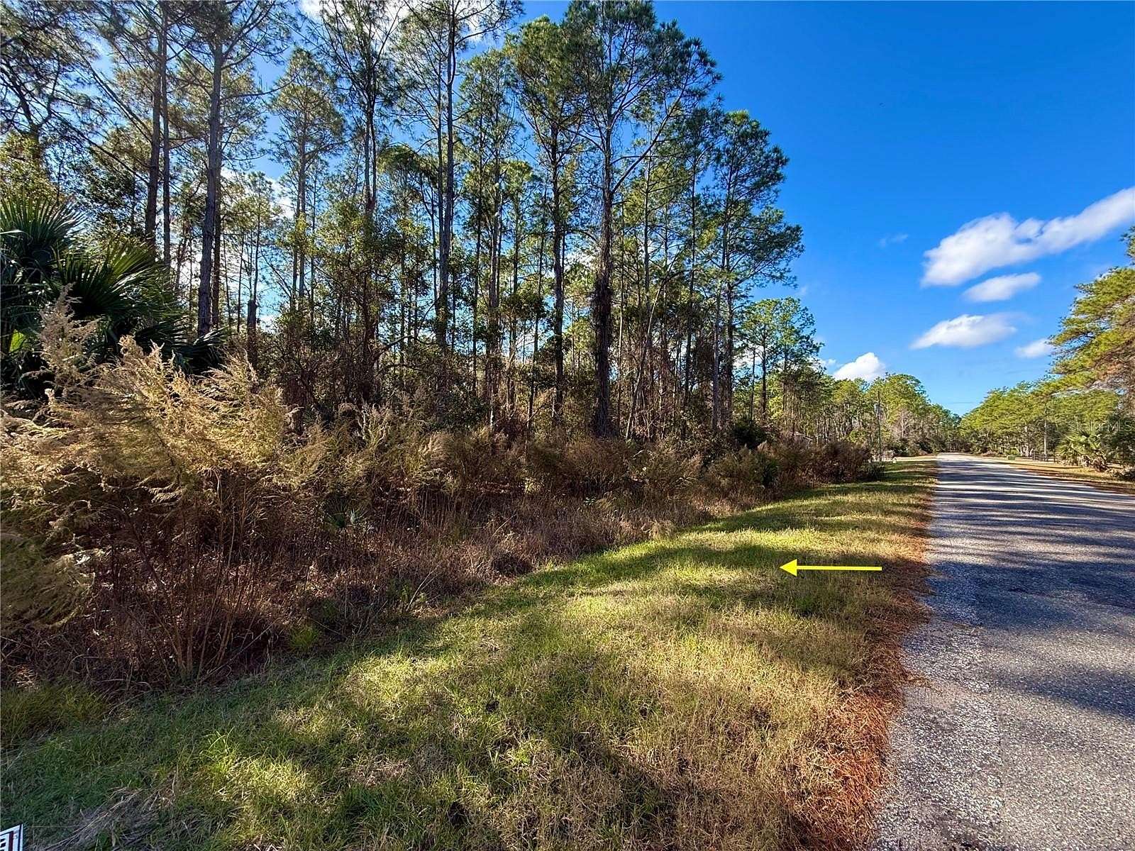 1 Acre of Residential Land for Sale in Eustis, Florida